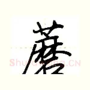 蘑