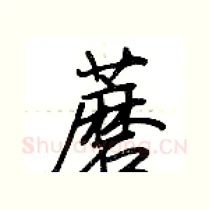 蘑
