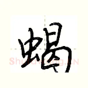 蝎