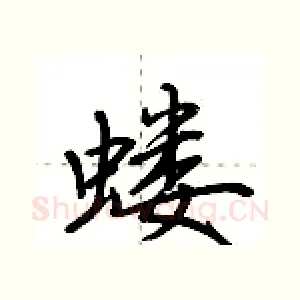 蝼