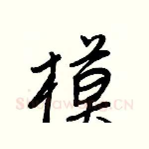模