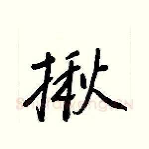 揪