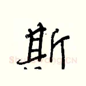 斯