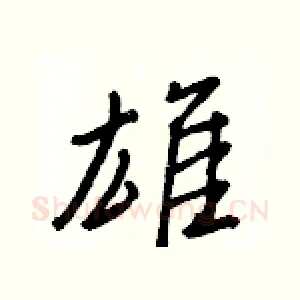 雄