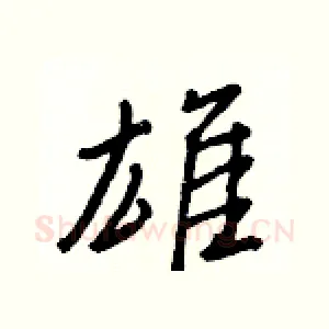 雄