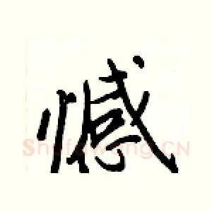 憾