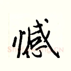 憾