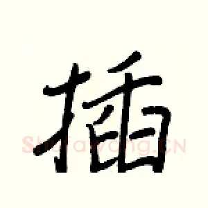插