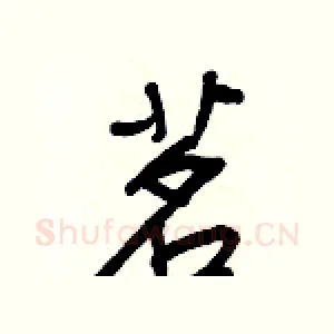 茗