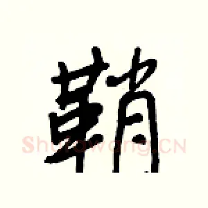 鞘