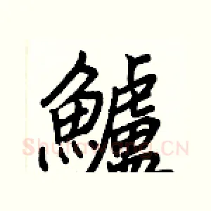 鱸