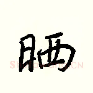 晒