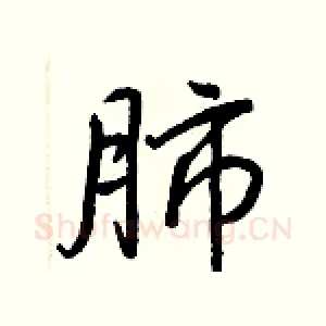 肺