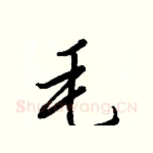 毛