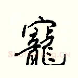 寵