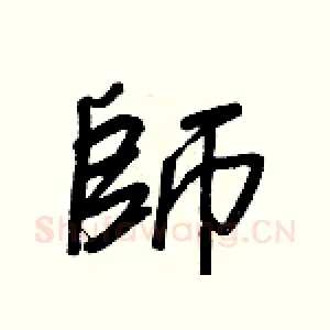 師