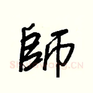 師