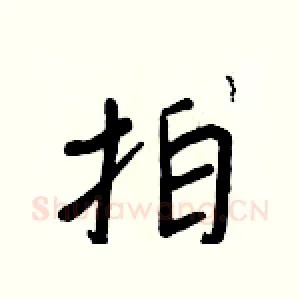 拍