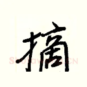 摘