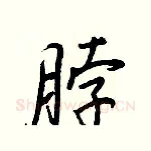 脖