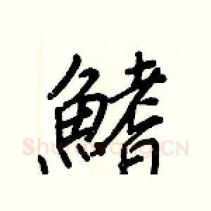 鰭