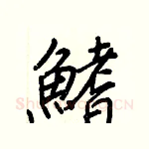 鰭