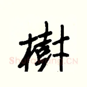 樹