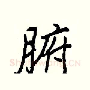 腑