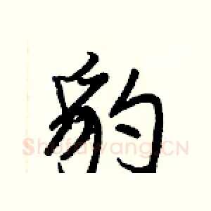 豹