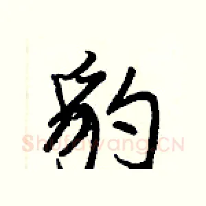 豹
