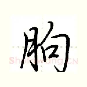 朐