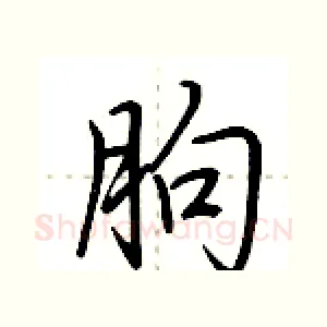 朐