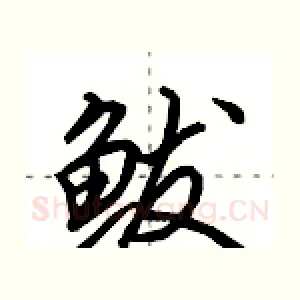 鲅