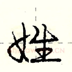 姓