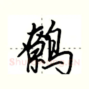 鹩