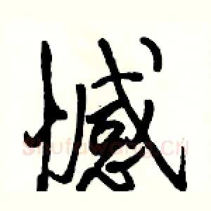 憾