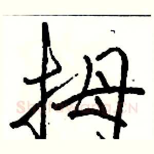 拇