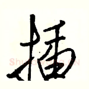 插
