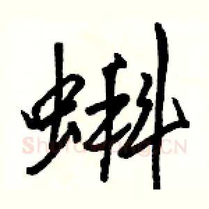蝌
