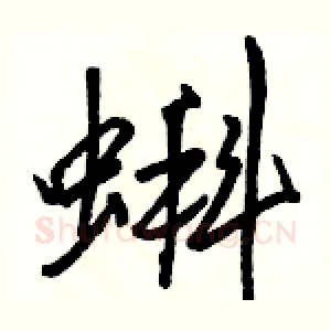 蝌