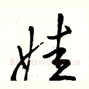 娃