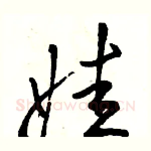 娃