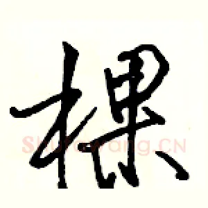 棵