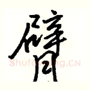 臂
