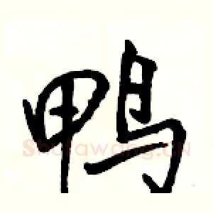 鸭