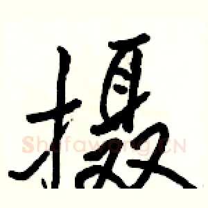 摄