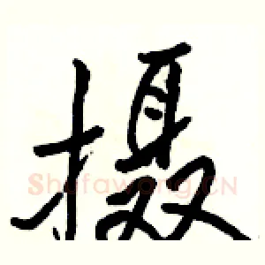 摄