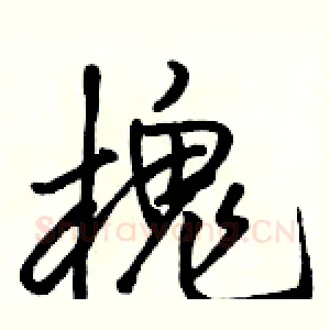 槐