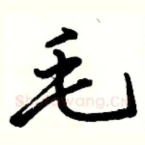 毛