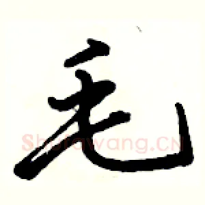 毛